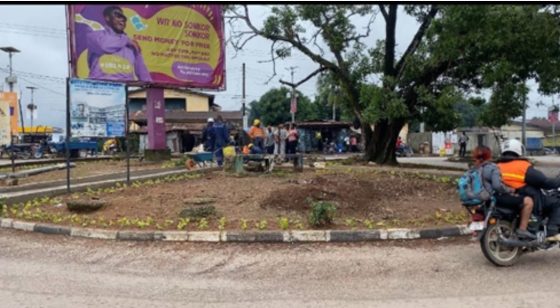 Environmental Planning and Sustainability